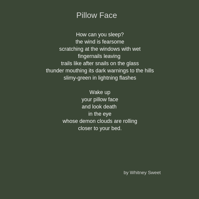Pillow Face (1)